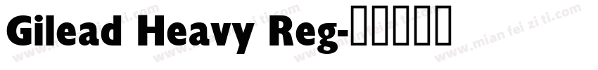 Gilead Heavy Reg字体转换